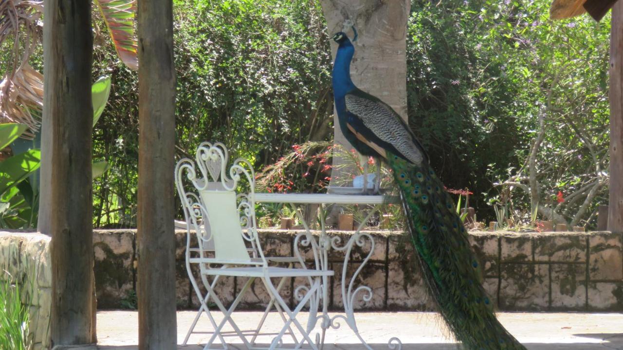 Dwaleni Farm Lodge Matsapha Bagian luar foto